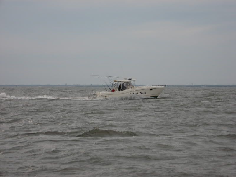 BiminiPics007.jpg