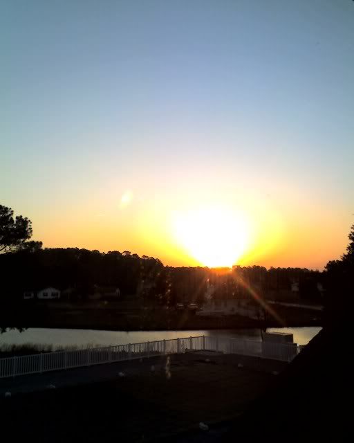 phonepics003.jpg