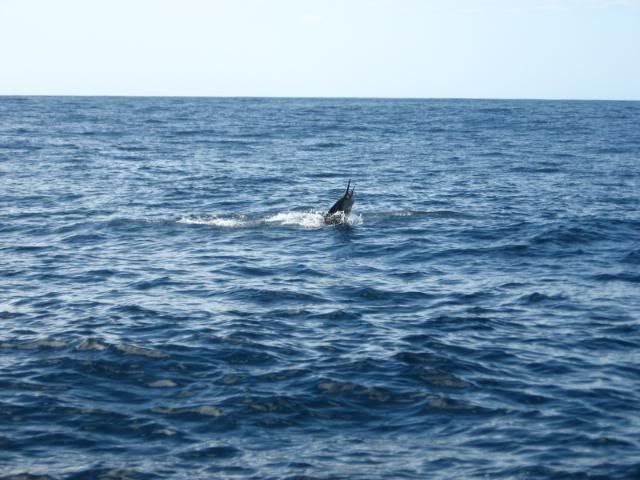 IMG_1042.jpg