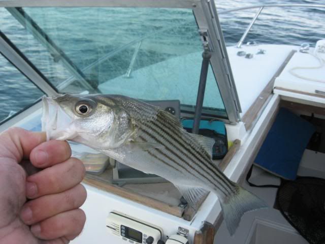Fishing101407011.jpg