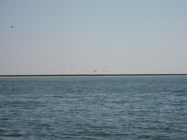 Fishing101407013.jpg