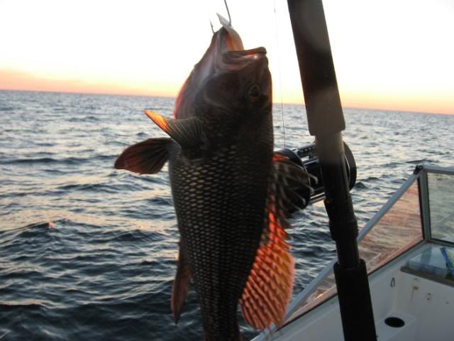 Fishing102107001.jpg
