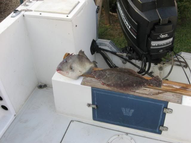 Fishing10707004.jpg
