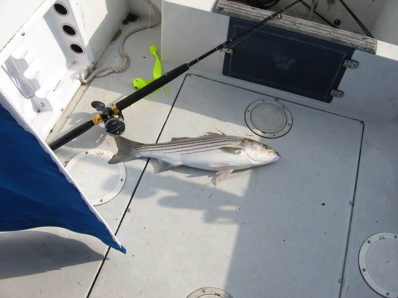 Fishingpics006.jpg