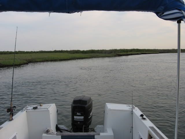 FloundertourneyDaytwo003.jpg