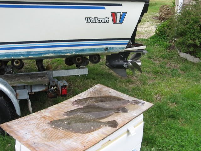IMG_1328.jpg