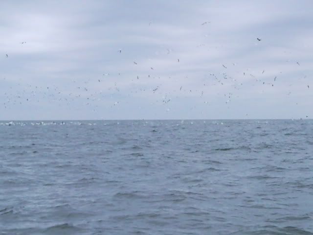 SNC00015.jpg