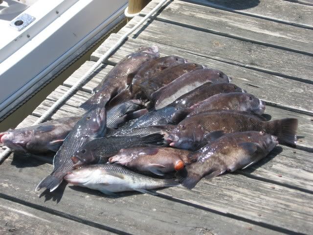 Togfishing001.jpg