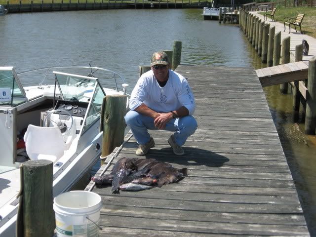 Togfishing002.jpg