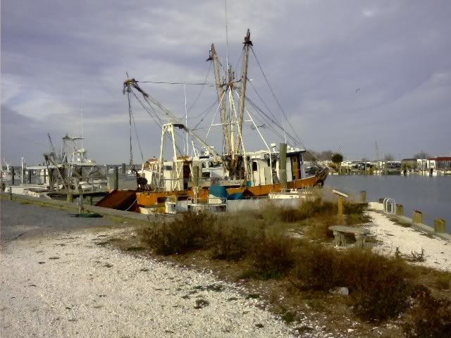 VerizonPhonepics005.jpg