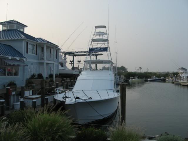IMG_0786.jpg