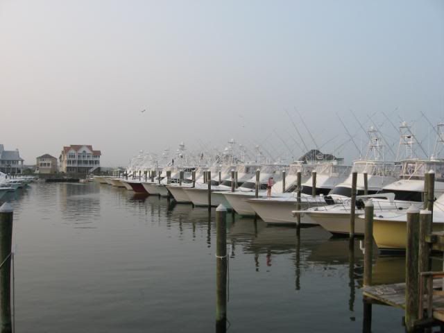 IMG_0800.jpg