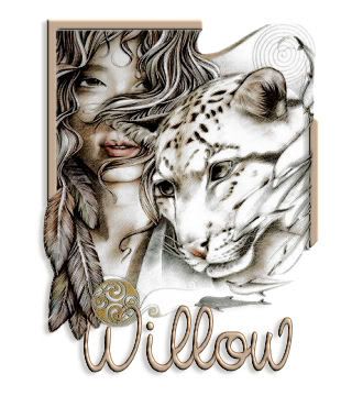 DreamCat-Willow-slj.jpg