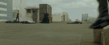 BushMatrix.gif