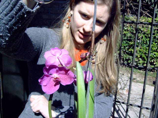 orchidee069.jpg