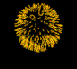 firework1.gif firework1 image by 1rrguy