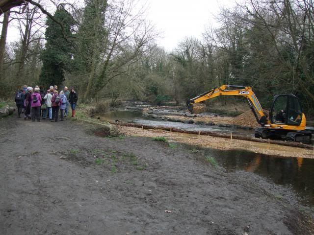  photo 2012-02-29113440.jpg