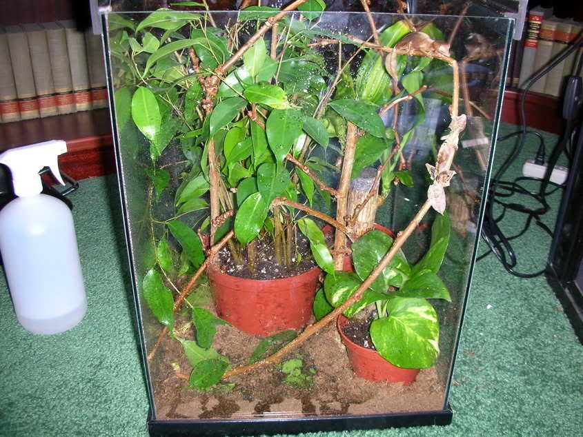 DSCN0110.jpg