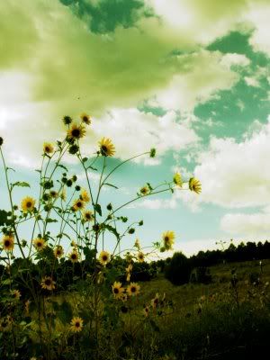 Vintage Backgrounds-JPEG files-HQ . floral backgrounds tumblr informe.