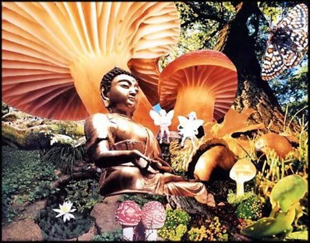Mushroom-Buddha.jpg
