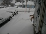 blizzard001.jpg image by SpringFever111