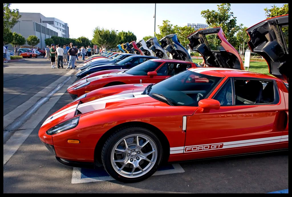 [Image: IMG_8025.jpg]