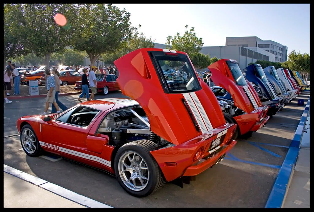 [Image: IMG_8026.jpg]