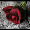 Image hosting by Photobucket