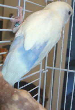 2007_1004bubs0006.jpg