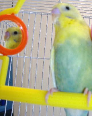 2007_1004bubs0017.jpg