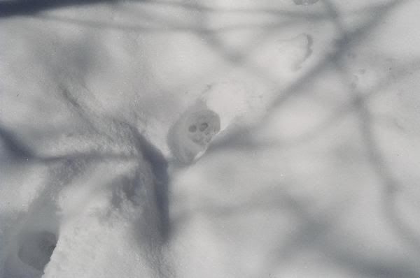 040_21A.jpg