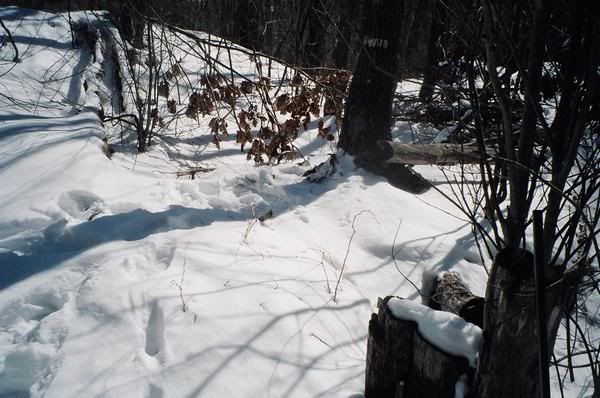 042_19A.jpg