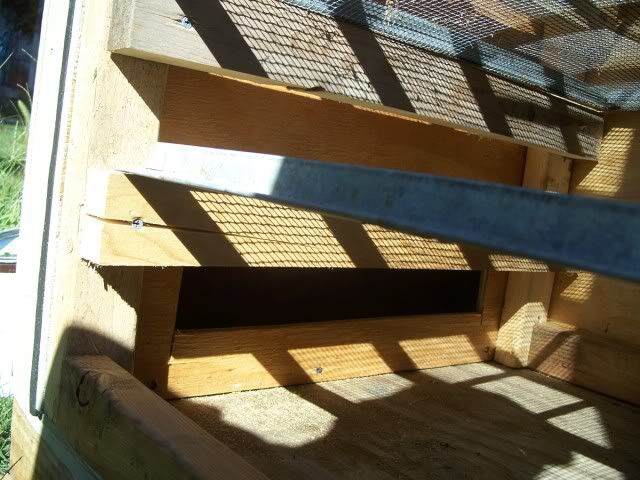 Thank you Paul Wheaton! - Homesteading Questions