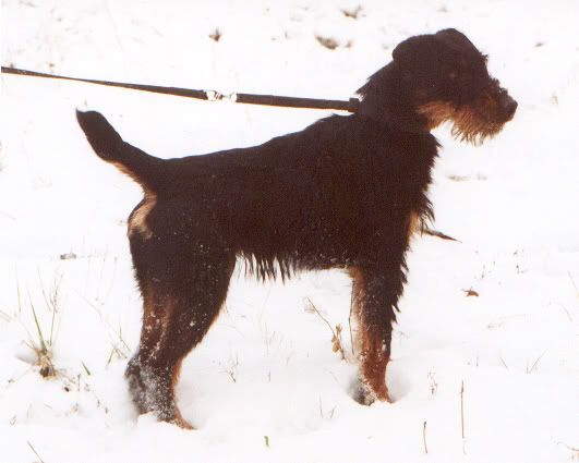 39CHIKO_VON_S_NNERN.jpg