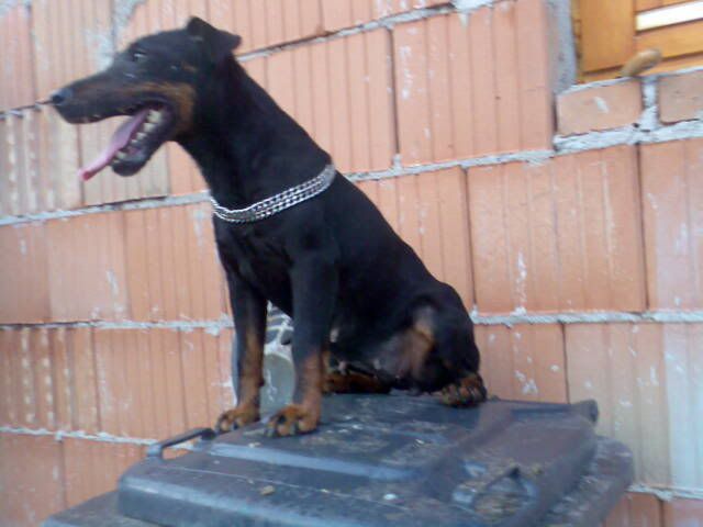 K_p069.jpg