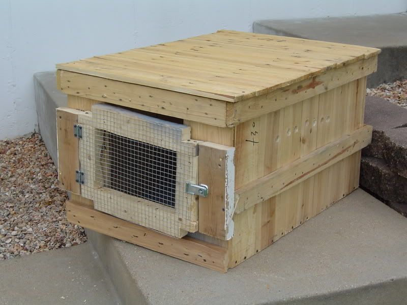 wood dog boxs