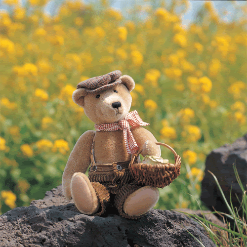 [Resim: teddybear1.gif]