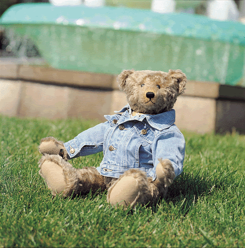 [Resim: teddybear2.gif]