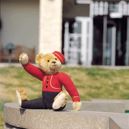 [Resim: teddybear3.gif]