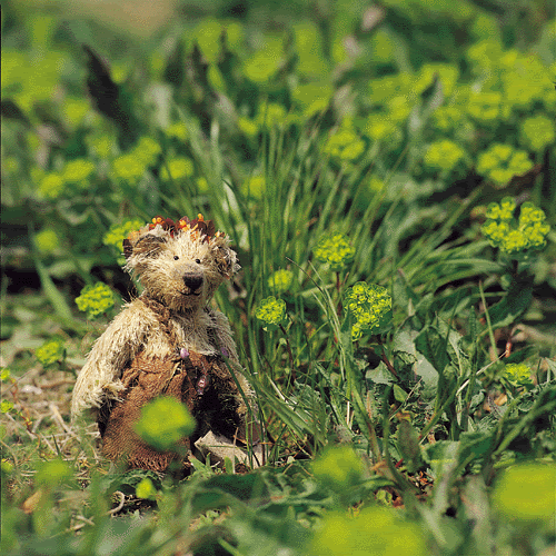 [Resim: teddybear5.gif]