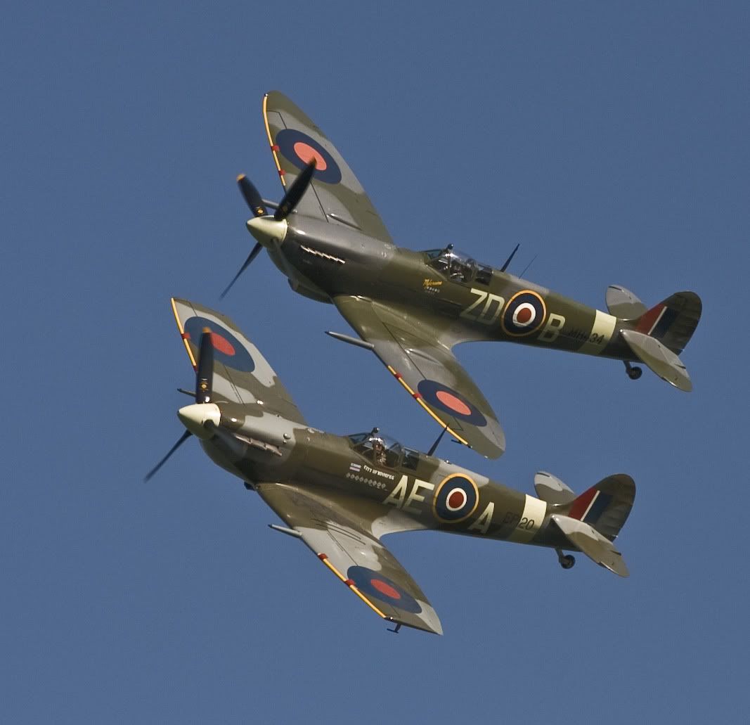 Spitfires.jpg