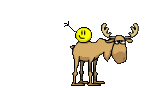 moosesmiley.gif