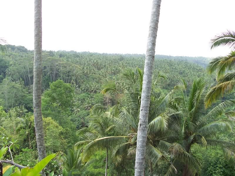 100_1574.jpg