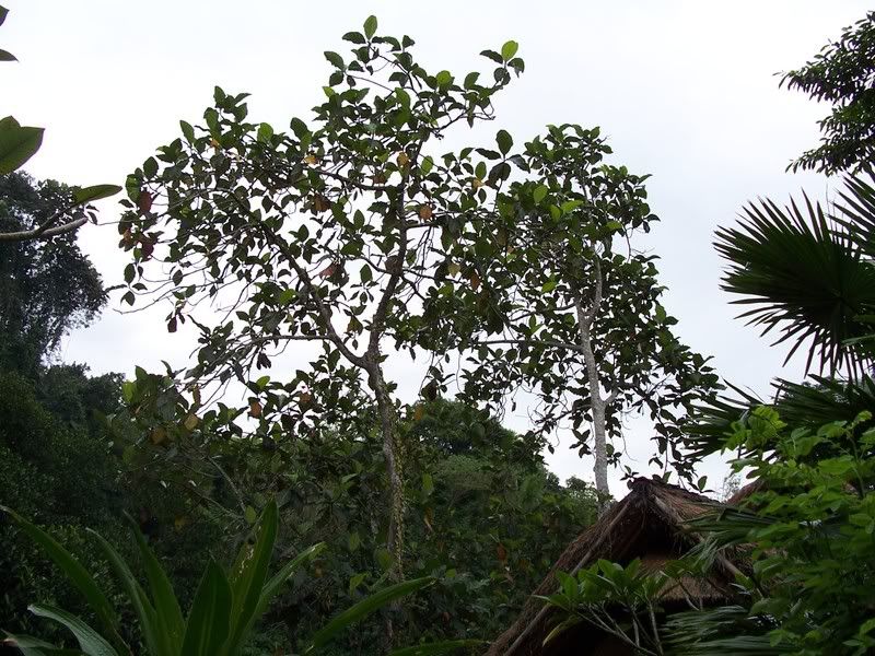 100_3872.jpg