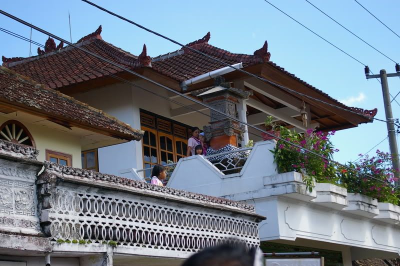 IMGP3998.jpg