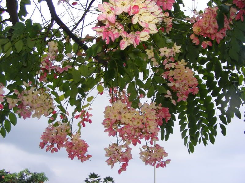 DSCF5539.jpg