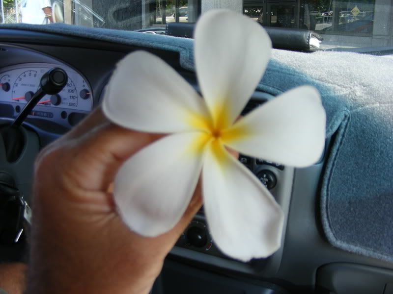 DSCF5543.jpg