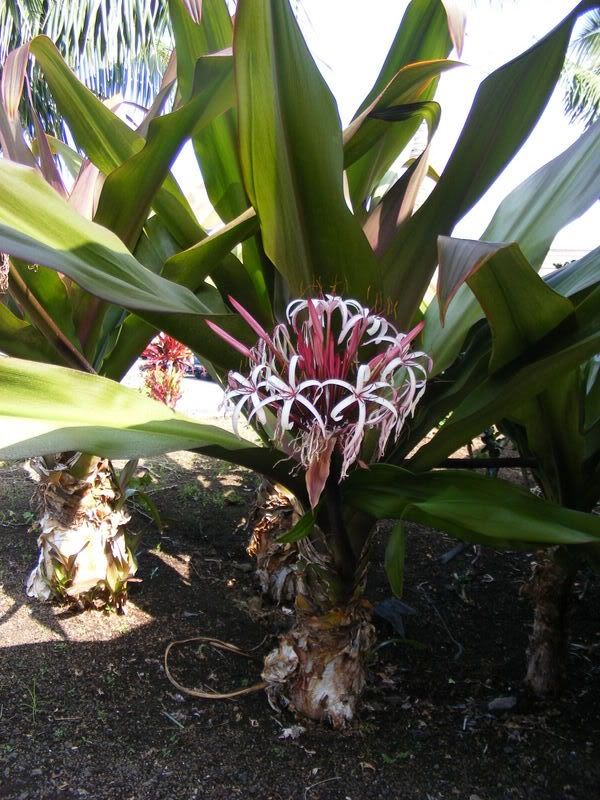 DSCF5553.jpg