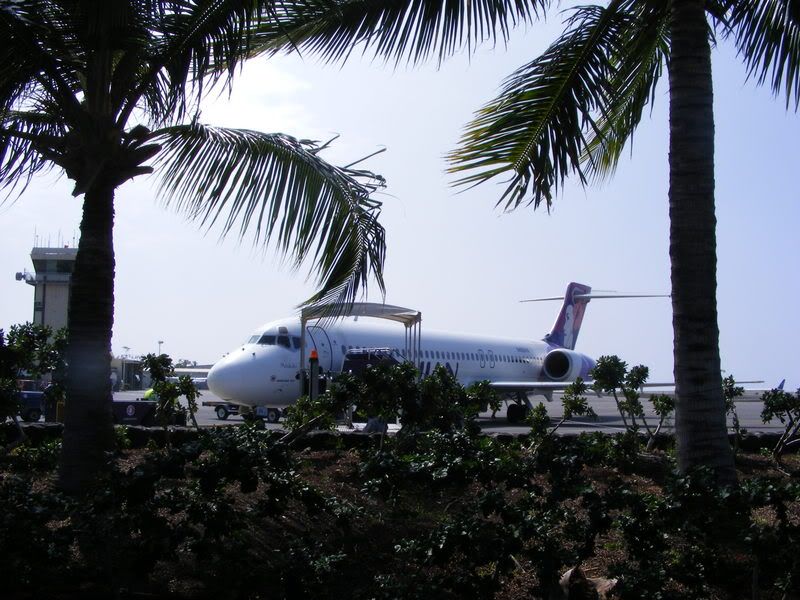 DSCF5555.jpg