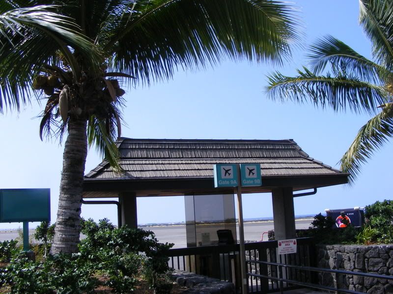 DSCF5559.jpg